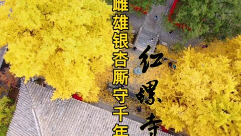 红螺寺求姻缘文案(红螺寺求姻缘还是求子)