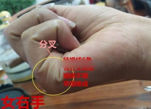 手相 姻缘(手相姻缘线)
