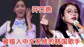 韩国歌 姻缘(姻缘韩国歌曲中文翻唱)