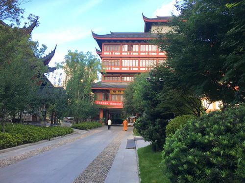 上海 求姻缘(上海求姻缘很灵的寺庙)