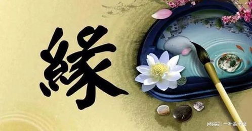 流年 姻缘(流年姻缘与正缘临门期啥意思)