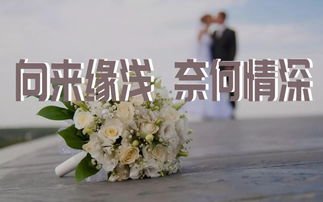 捉姻缘