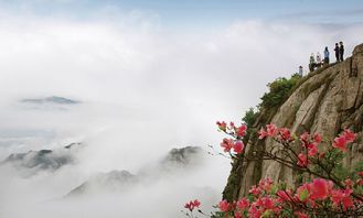 九华山姻缘签(九华山婚姻签)