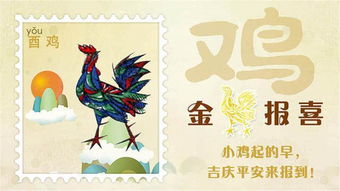转姻缘(转姻缘运)