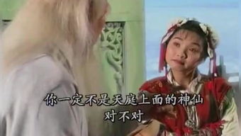 姻缘豆瓣(落水姻缘豆瓣)