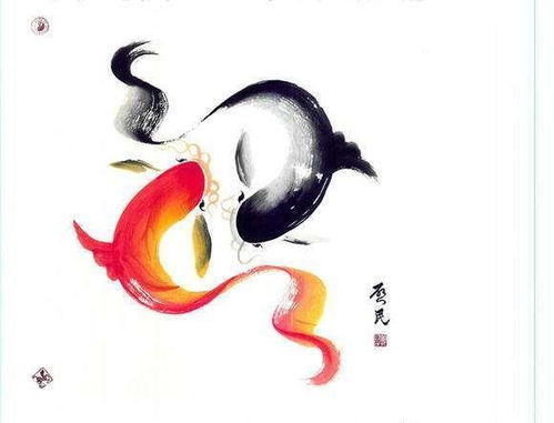 姻缘鱼(姻缘鱼图片)