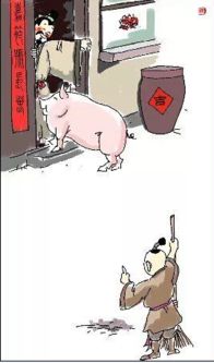 姻缘占(姻缘占赤口)