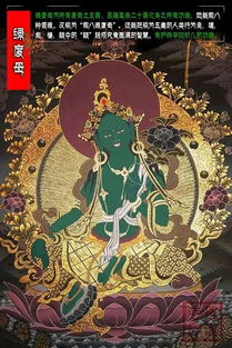 佛教姻缘(佛教姻缘咒语)