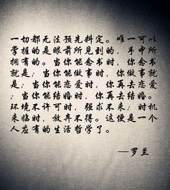 姻缘来(姻缘来到莫强求)