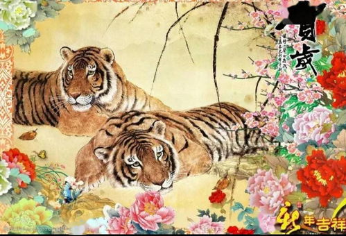 虎姻缘(1998年属虎姻缘)