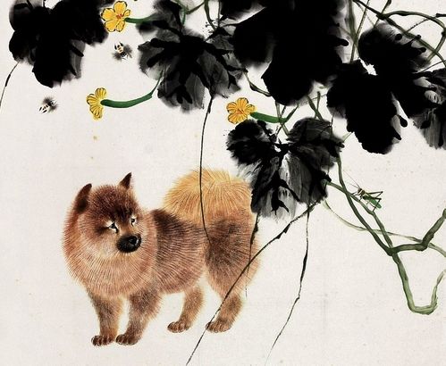 姻缘虎(姻缘虎和龙)