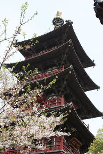 寒山寺去哪里求姻缘(寒山寺可以求姻缘签吗?