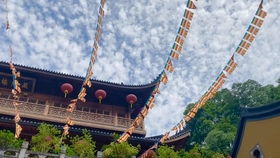 法喜寺姻缘多少钱(法喜寺求姻缘注意事项)
