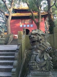 普陀山手串求姻缘(普陀山手串求姻缘怎么供奉)