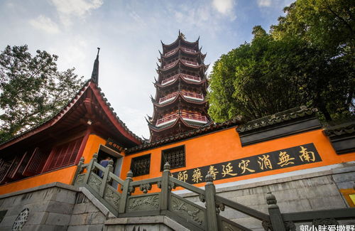 鸡鸣寺不求姻缘求财运(人家都说到鸡鸣寺求姻缘)