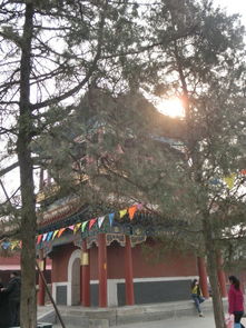红螺寺求姻缘男(红螺寺求姻缘流程多少钱)