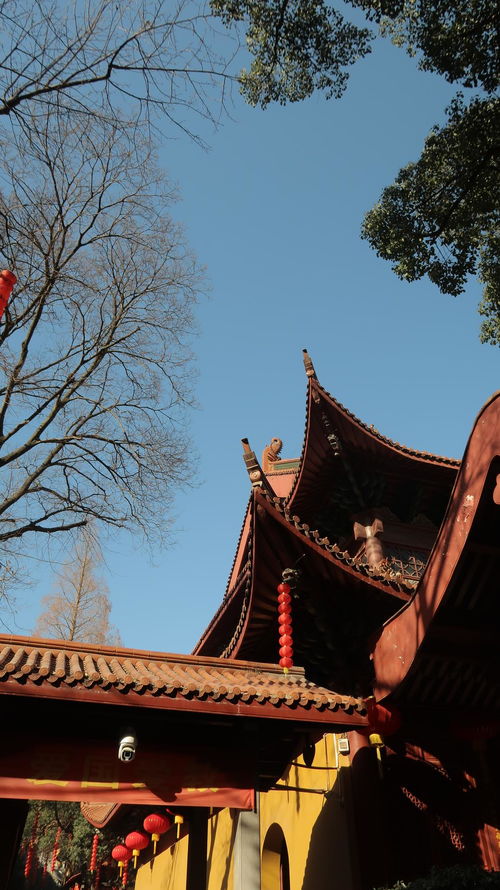 法喜寺不是求姻缘(法喜寺除了求姻缘还能求什么)