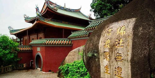 厦门仙岳山求姻缘攻略(厦门仙岳山爬山攻略)
