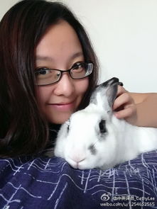 七月猪女姻缘(属猪女生在七月好不好)