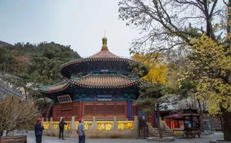 长春观姻缘殿在哪(长春观求什么最灵验)
