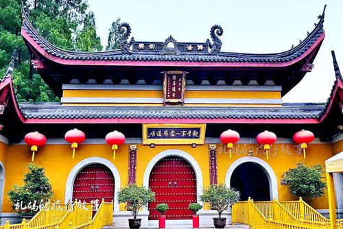 金台寺求姻缘攻略(金台寺可以求姻缘吗)