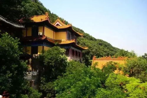 千佛山有姻缘(千佛山有姻缘寺吗)