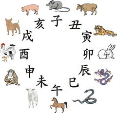 十二生肖算姻缘(十二生肖姻缘配对口诀速记)