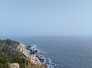东山岛求姻缘(东山岛过年)
