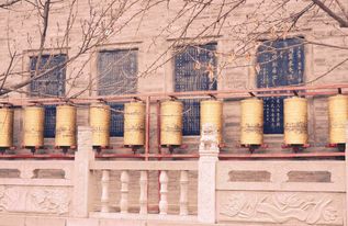 大兴善寺姻缘佛(大兴善寺的姻缘符)