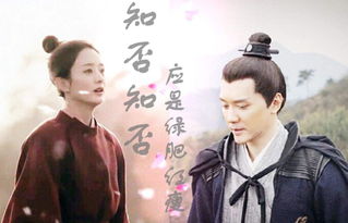 七宝姻缘作者(七宝姻缘讲的是什么)