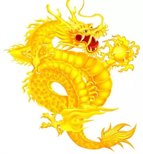 88年属龙姻缘(88年属龙人婚姻)