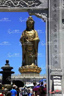 普陀山观音姻缘(普陀山观音准吗)