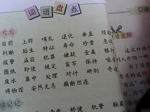 求姻缘四字(求姻缘词语)