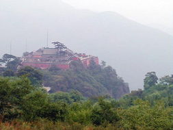 妙峰山娘娘庙姻缘(妙峰山娘娘庙姻缘怎么样)
