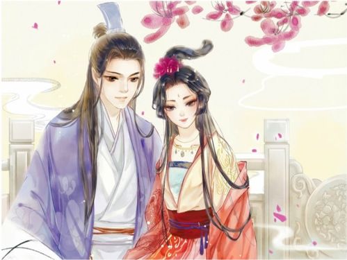 天定姻缘女主(小说天定姻缘)