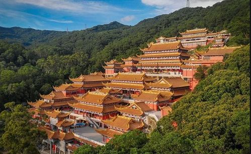 老君洞姻缘灵吗(老君洞姻缘灵吗还是仙灵)