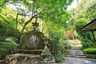 深圳寺庙算姻缘(深圳求姻缘的地方叫什么)