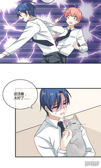 姻缘上上签漫画(姻缘上上签小说免费)