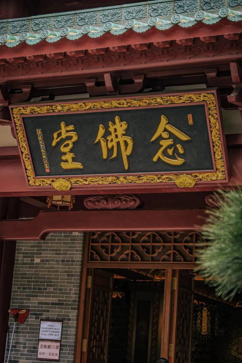 雍和宫求姻缘稳定(雍和宫求姻缘稳定了吗)