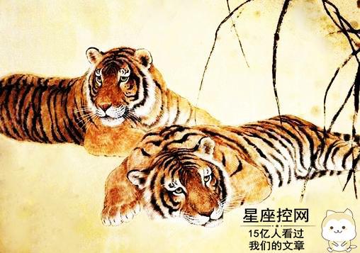 98属虎姻缘(98属虎姻缘何时到)