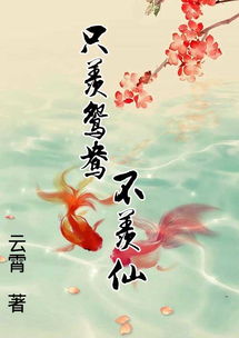 不羡仙姻缘(不羡仙是什么)