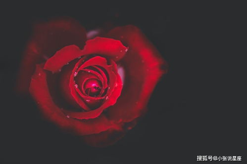 月老给的姻缘(月老的姻缘线)