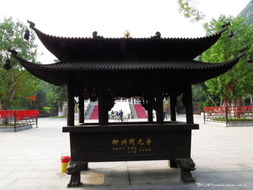开元寺姻缘(开元寺香火)