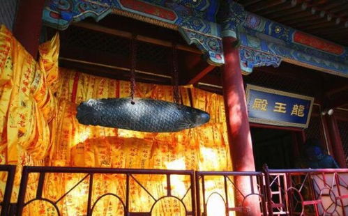 北京庙求姻缘(北京哪座庙求姻缘)