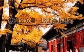 南京求姻缘攻略(南京求姻缘去哪)