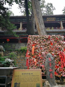 潭柘寺姻缘手串(潭柘寺佛珠)