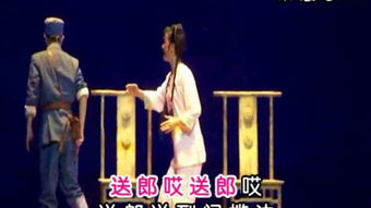 姻缘黄梅戏(黄梅戏啼笑姻缘唱段)