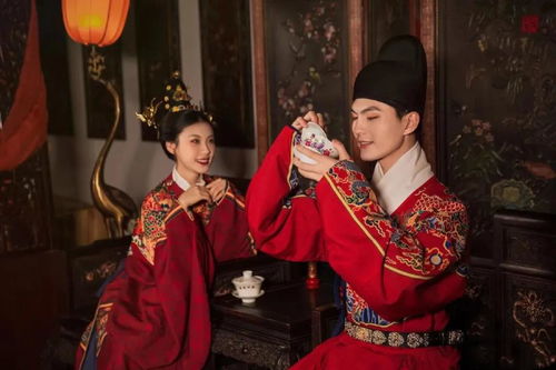 清穿姻缘扣(清穿娶妻gl)