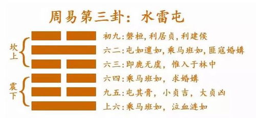 复变屯姻缘(复卦变屯卦)