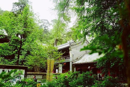 嘉兴求姻缘寺庙(嘉兴哪个寺庙求财比较灵验)